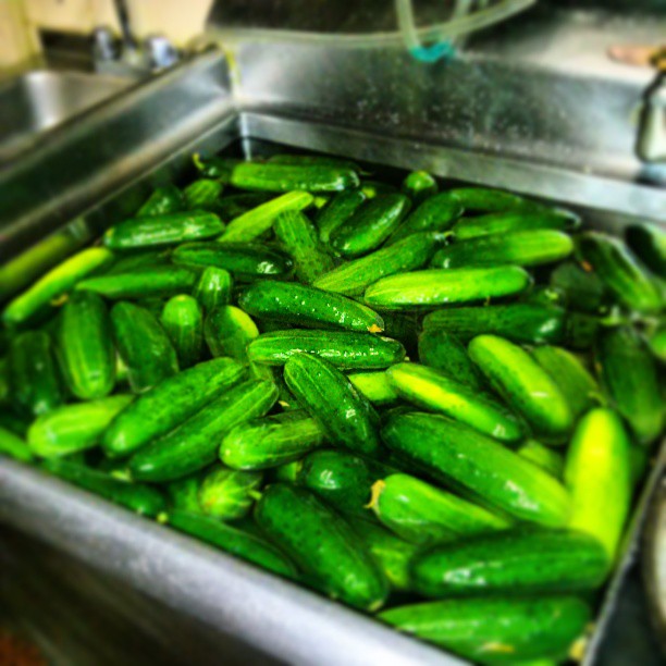 Kirby's getting a wash before their on the journey to become house made pickles. Thank you - from Instagram